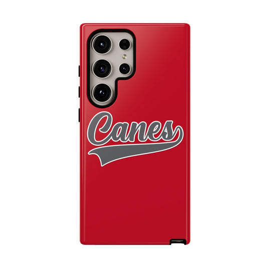 Palm Harbor Lady Canes Tough Cases