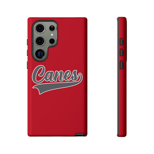 Palm Harbor Lady Canes Tough Cases