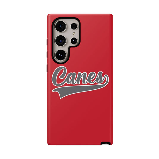 Palm Harbor Lady Canes Tough Cases