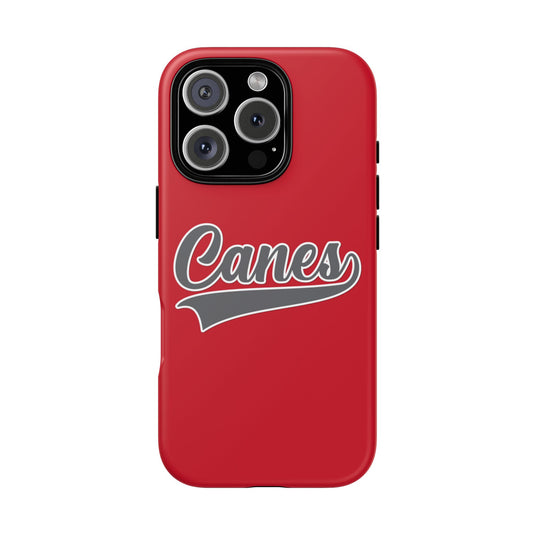 Palm Harbor Lady Canes Tough Cases