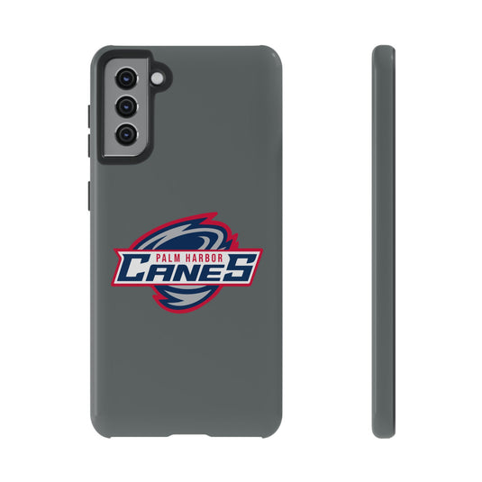 Palm Harbor Lady Canes Tough Cases