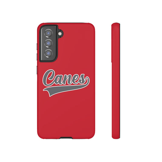 Palm Harbor Lady Canes Tough Cases