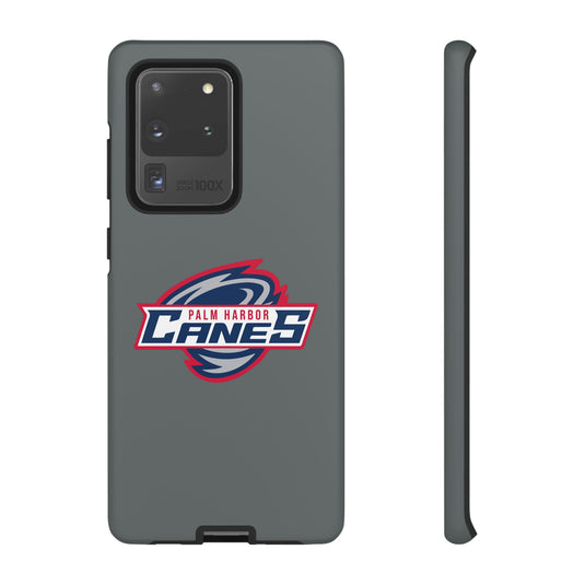 Palm Harbor Lady Canes Tough Cases