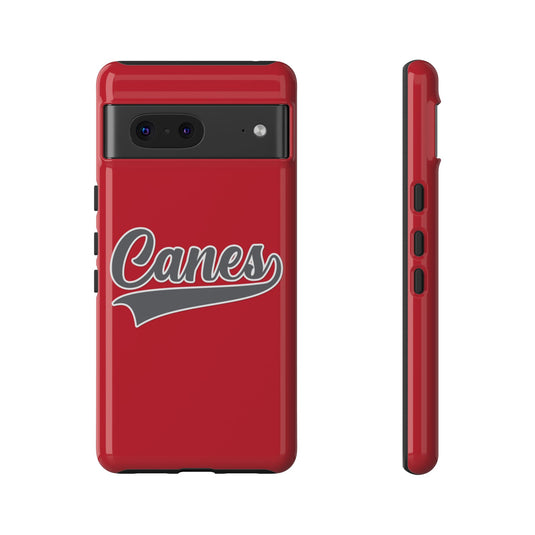 Palm Harbor Lady Canes Tough Cases