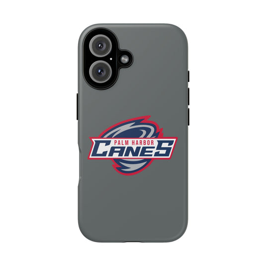 Palm Harbor Lady Canes Tough Cases
