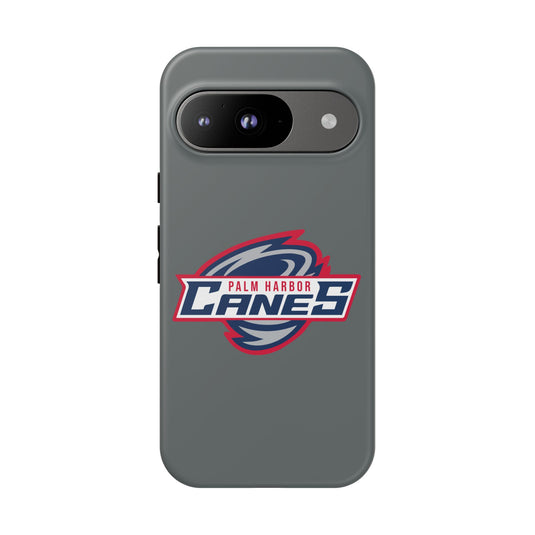 Palm Harbor Lady Canes Tough Cases