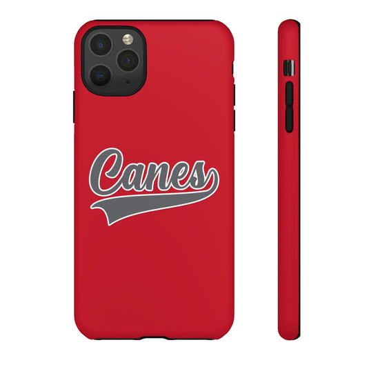 Palm Harbor Lady Canes Tough Cases