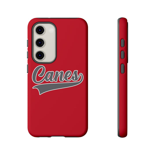 Palm Harbor Lady Canes Tough Cases