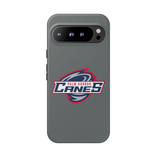 Palm Harbor Lady Canes Tough Cases