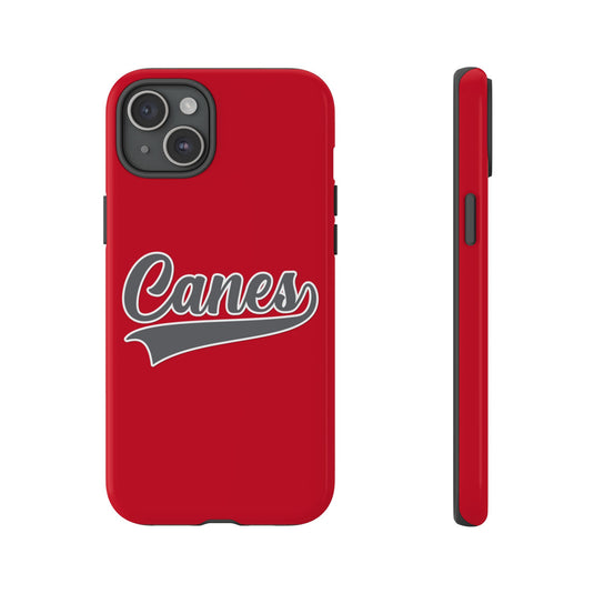 Palm Harbor Lady Canes Tough Cases