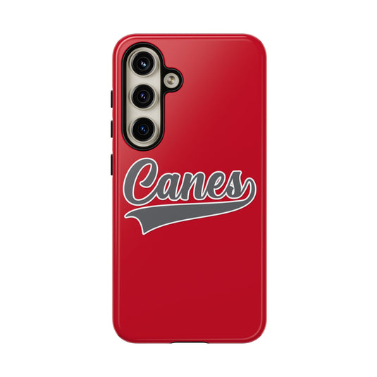 Palm Harbor Lady Canes Tough Cases