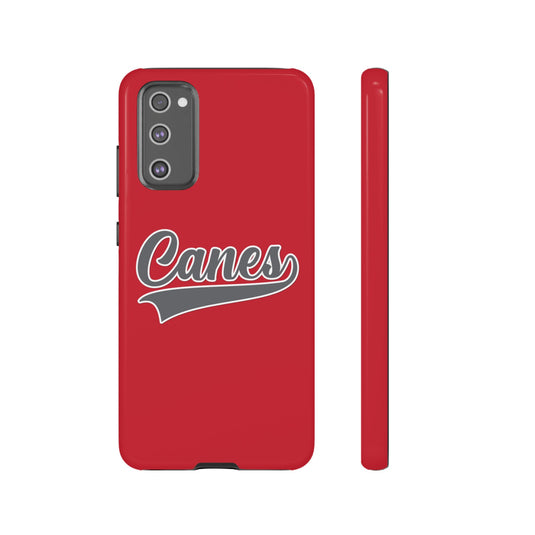 Palm Harbor Lady Canes Tough Cases