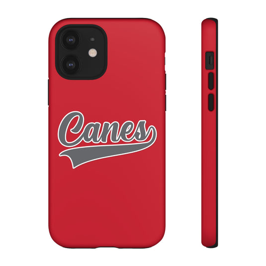 Palm Harbor Lady Canes Tough Cases