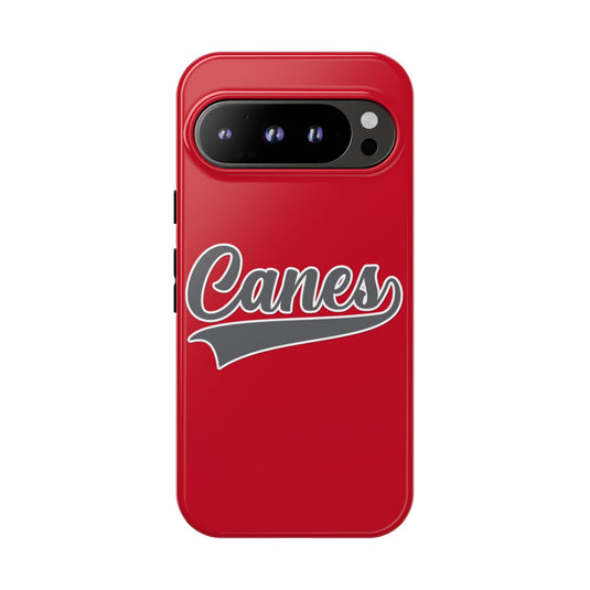 Palm Harbor Lady Canes Tough Cases