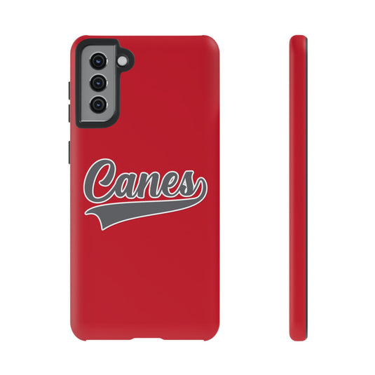 Palm Harbor Lady Canes Tough Cases
