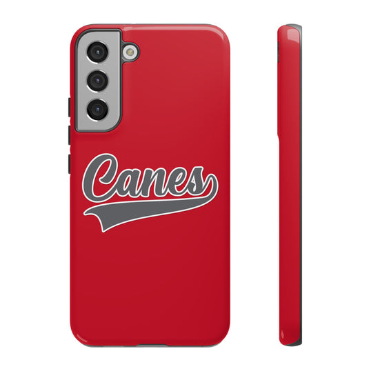 Palm Harbor Lady Canes Tough Cases