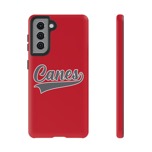 Palm Harbor Lady Canes Tough Cases