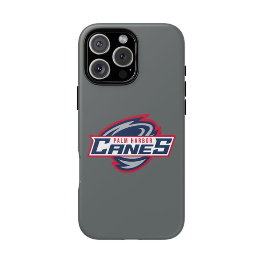 Palm Harbor Lady Canes Tough Cases