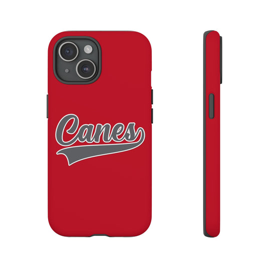 Palm Harbor Lady Canes Tough Cases