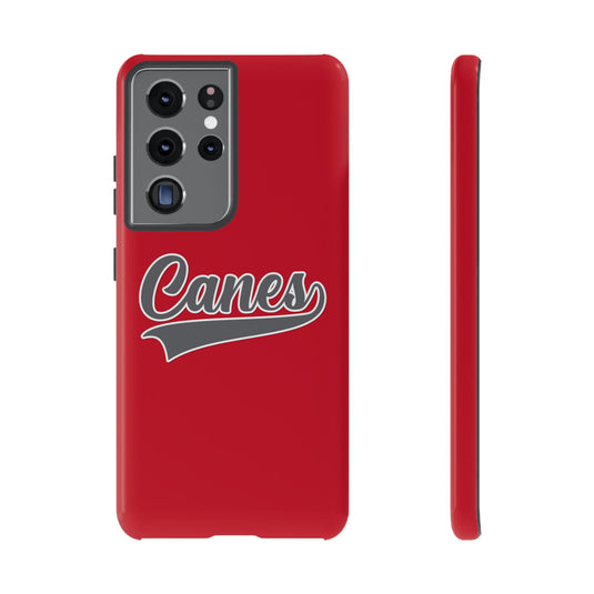 Palm Harbor Lady Canes Tough Cases