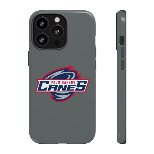 Palm Harbor Lady Canes Tough Cases