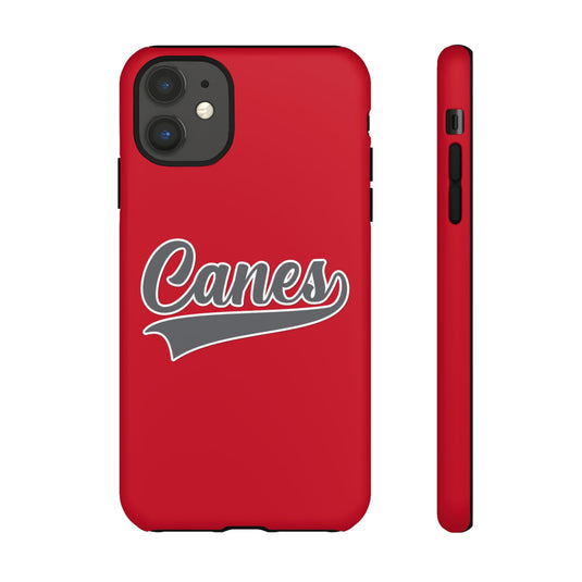 Palm Harbor Lady Canes Tough Cases