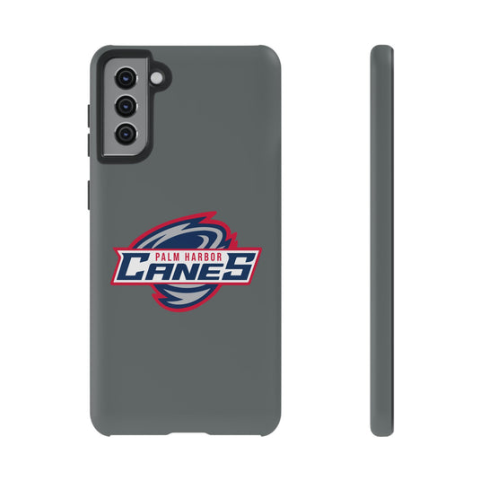 Palm Harbor Lady Canes Tough Cases