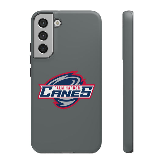 Palm Harbor Lady Canes Tough Cases