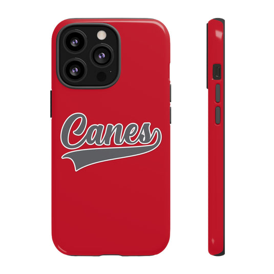 Palm Harbor Lady Canes Tough Cases