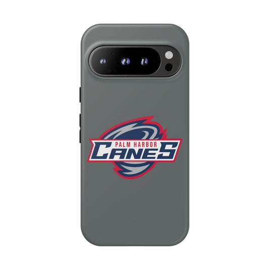 Palm Harbor Lady Canes Tough Cases