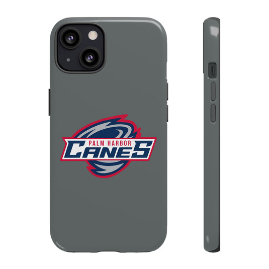 Palm Harbor Lady Canes Tough Cases