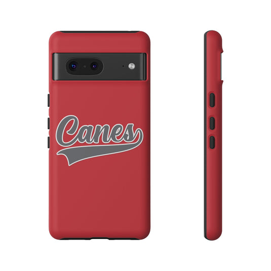 Palm Harbor Lady Canes Tough Cases