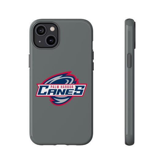 Palm Harbor Lady Canes Tough Cases