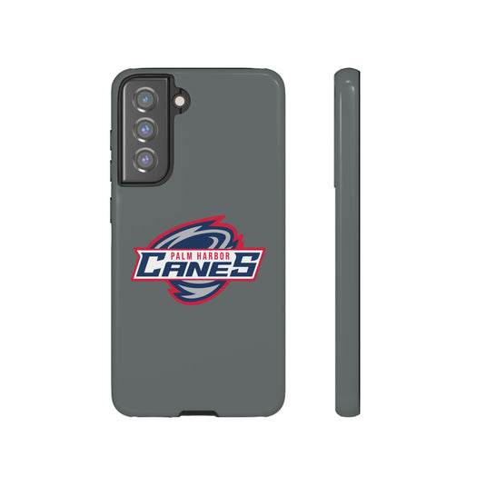 Palm Harbor Lady Canes Tough Cases