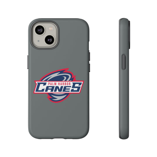 Palm Harbor Lady Canes Tough Cases