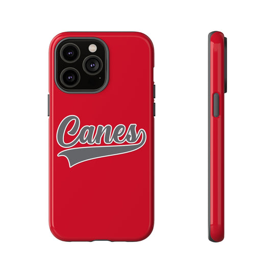 Palm Harbor Lady Canes Tough Cases